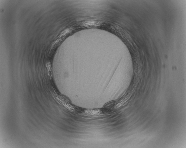 X0000071860480200607290202