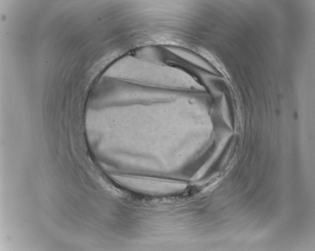 X0000071860481200607290201