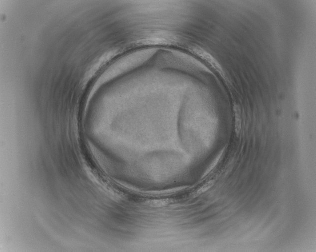 X0000071860482200607290201