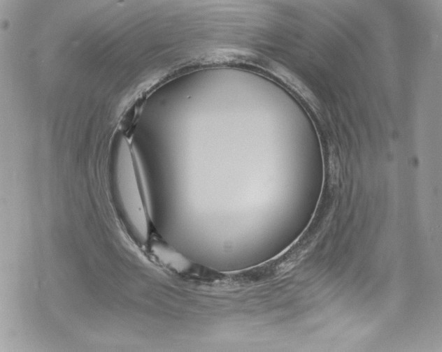 X0000071860485200607290201