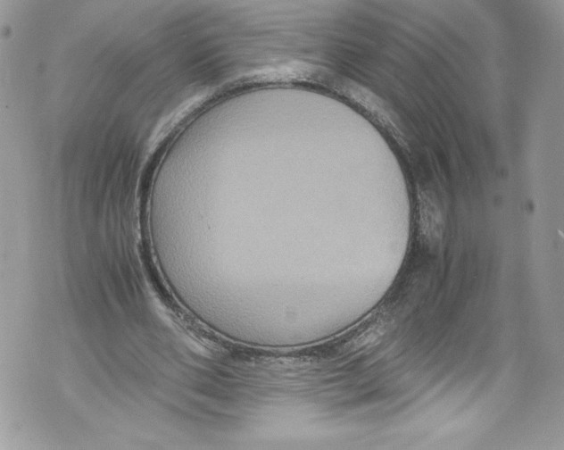 X0000071860486200607290201