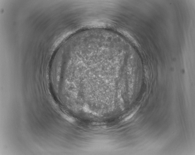 X0000071860487200607290201