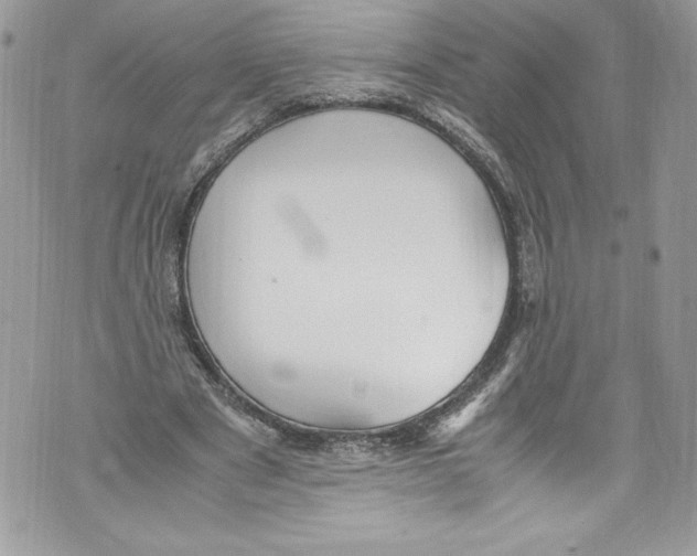 X0000071860489200607290201