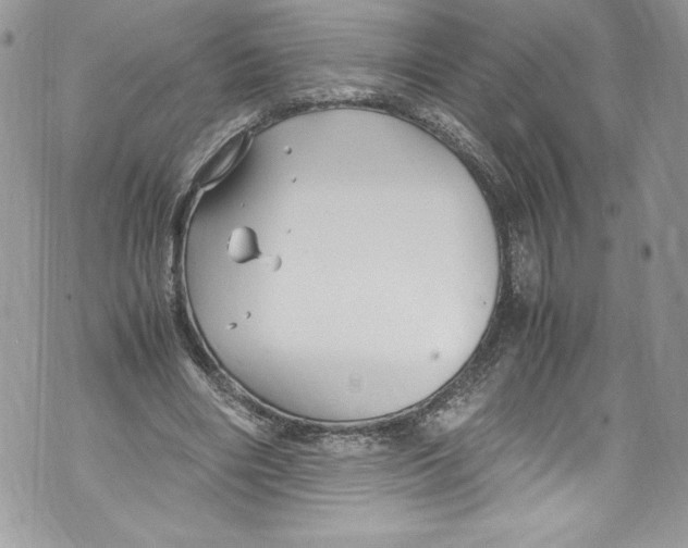 X0000071860490200607290201