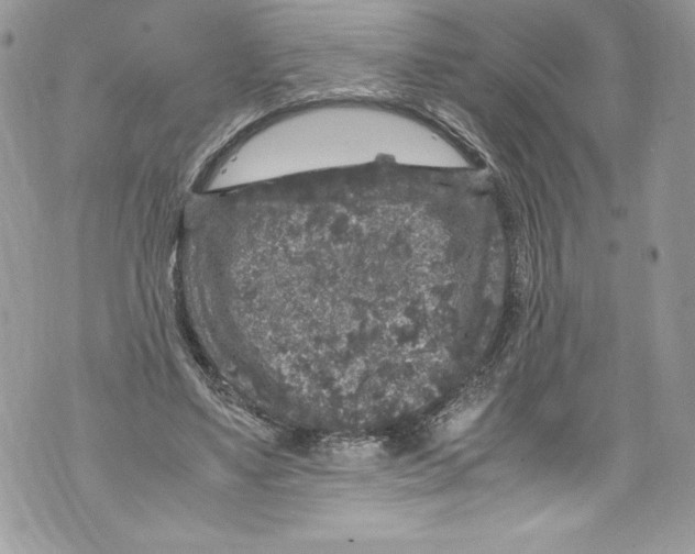 X0000071860491200607290201