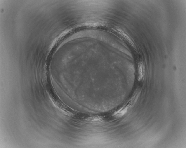 X0000071860492200607290201