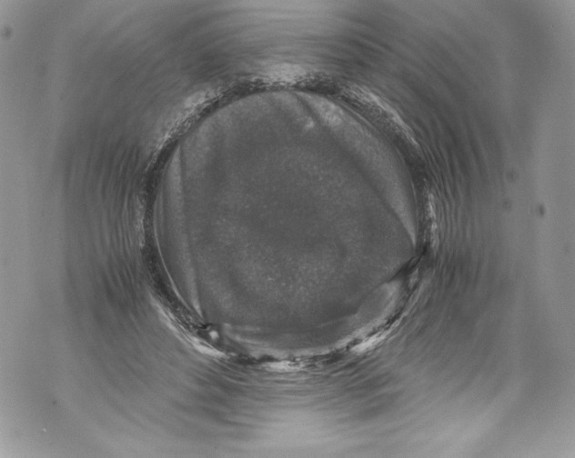 X0000071860496200607290201