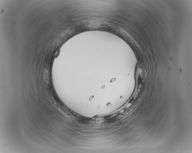 X0000071860497200607290201