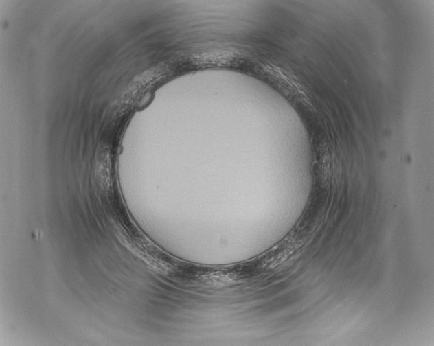 X0000071860498200607290201