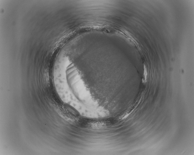 X0000071860500200607290201