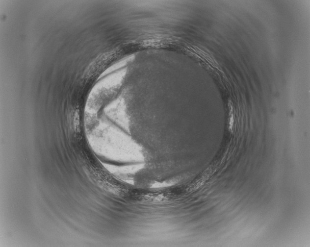 X0000071860502200607290201