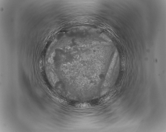 X0000071860503200607290201