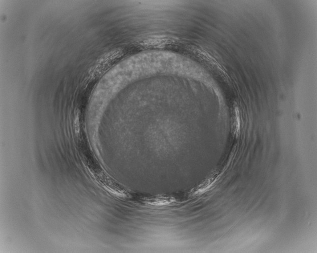 X0000071860504200607290201