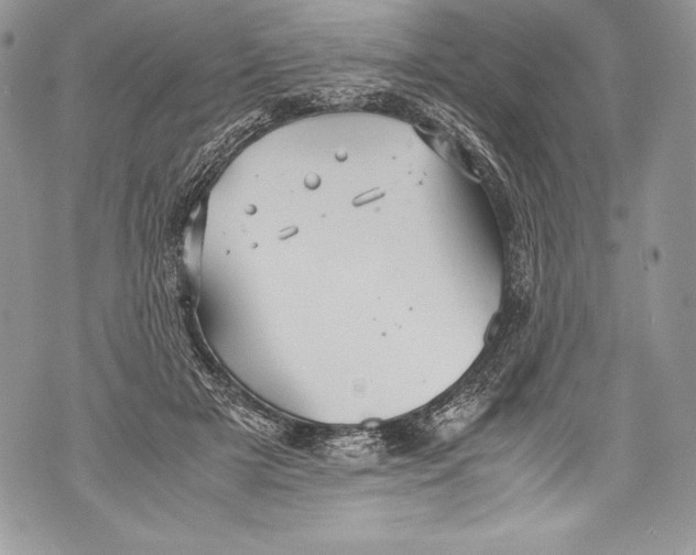 X0000071860505200607290201