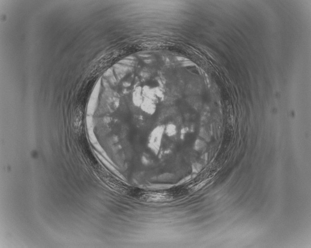 X0000071860507200607290200