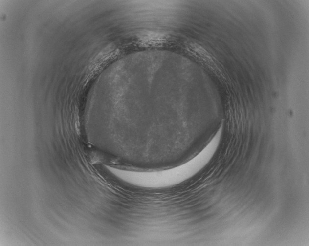 X0000071860508200607290200