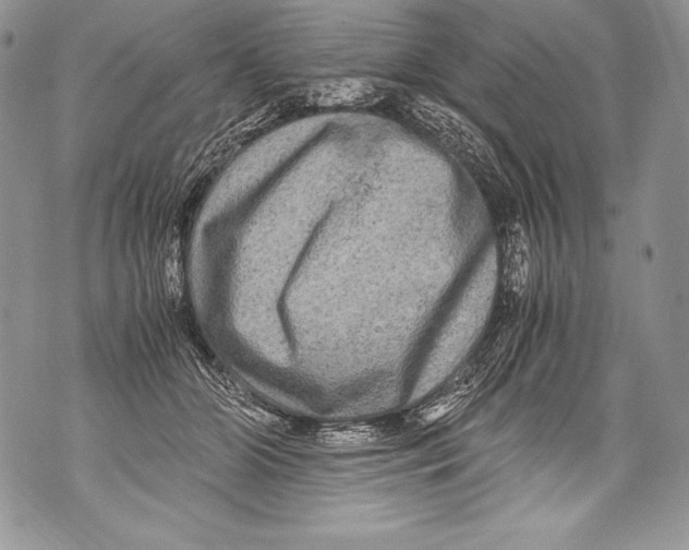 X0000071860510200607290200