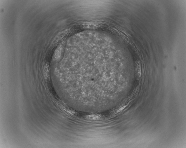 X0000071860511200607290200