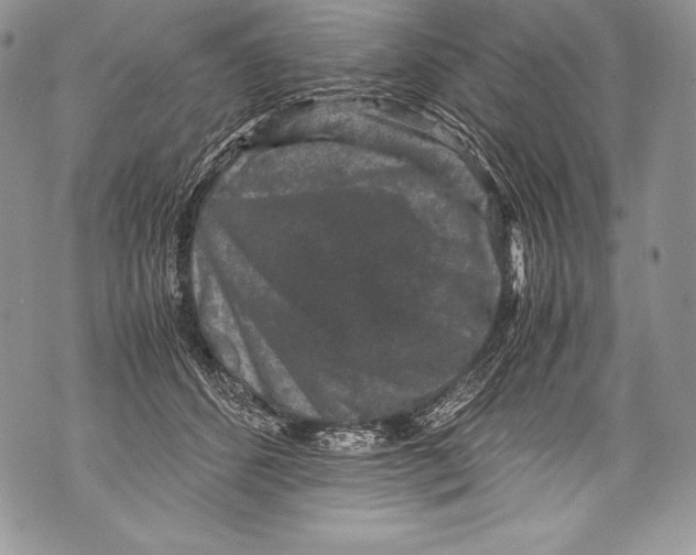 X0000071860512200607290200