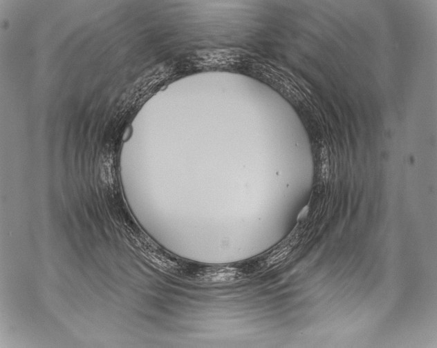 X0000071860514200607290200