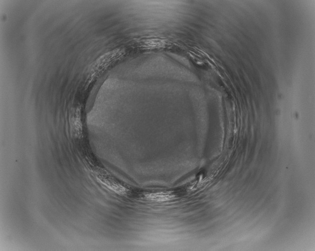 X0000071860516200607290200