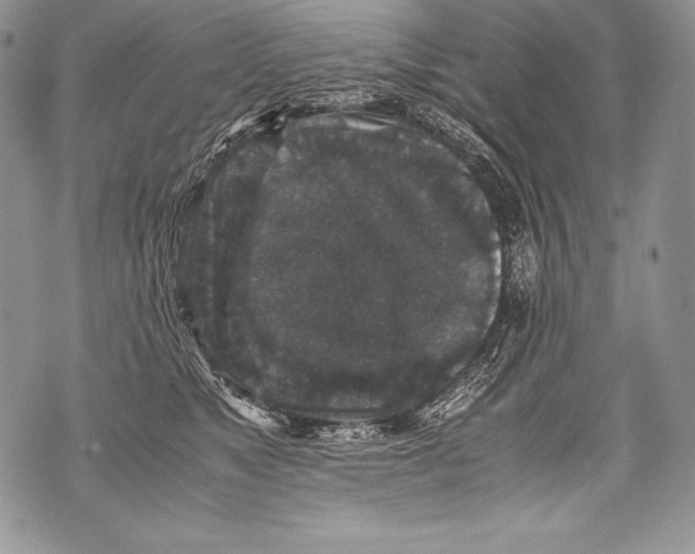 X0000071860517200607290200