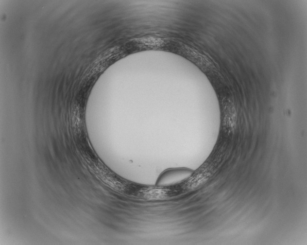 X0000071860518200607290200