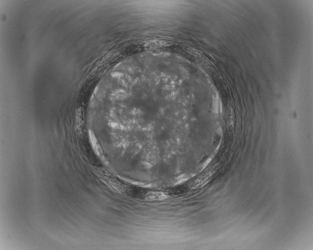 X0000071860519200607290200