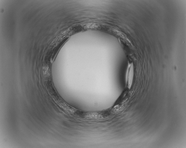 X0000071860521200607290200