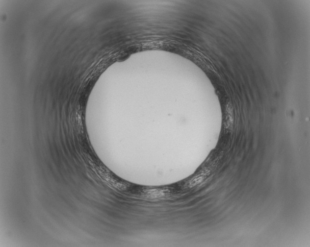 X0000071860522200607290200