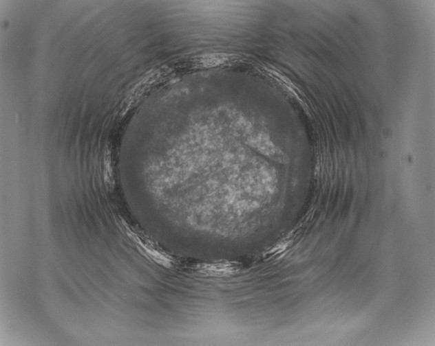 X0000071860524200607290200