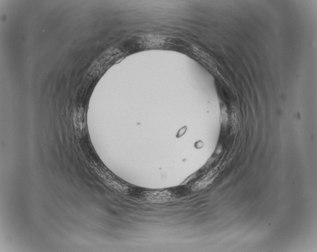 X0000071860525200607290200