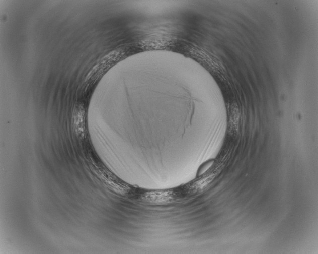 X0000071860526200607290200