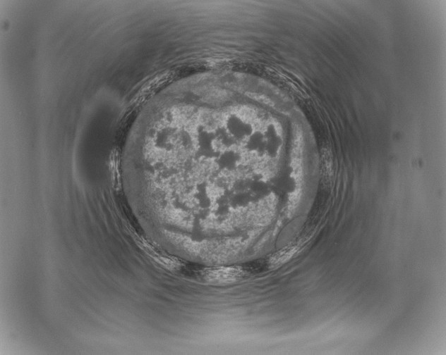 X0000071860527200607290200