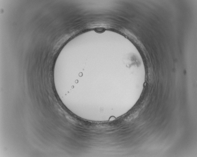 X0000071860529200607290159