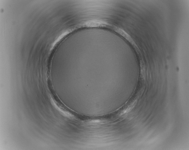 X0000071860530200607290159