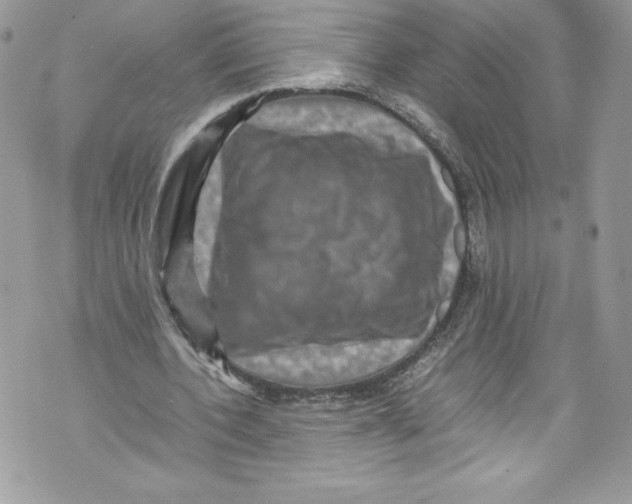 X0000071860532200607290159