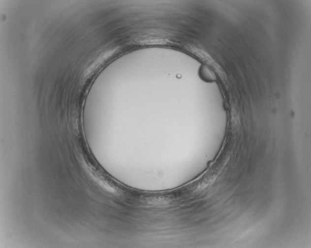 X0000071860533200607290159