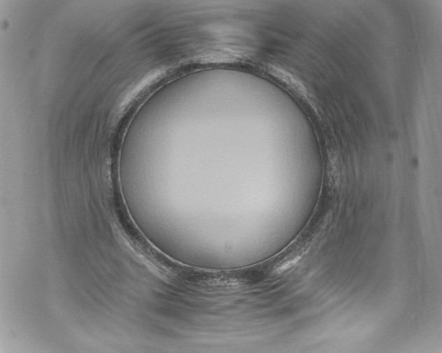 X0000071860535200607290159