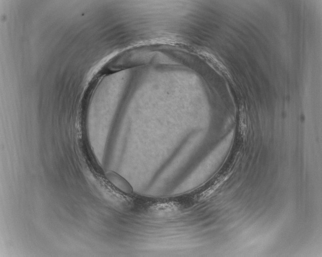 X0000071860536200607290159