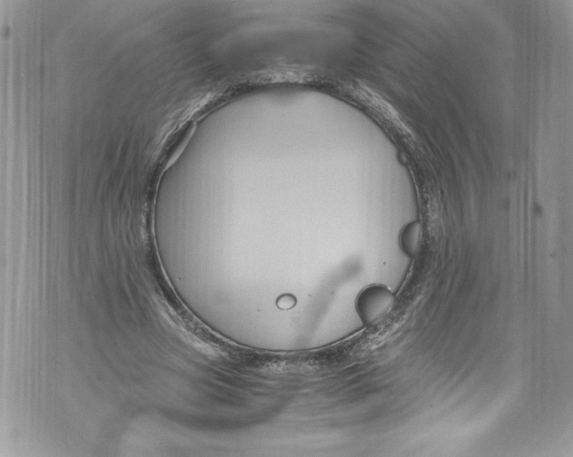 X0000071860537200607290200