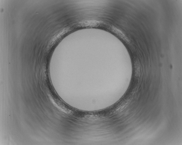 X0000071860538200607290200