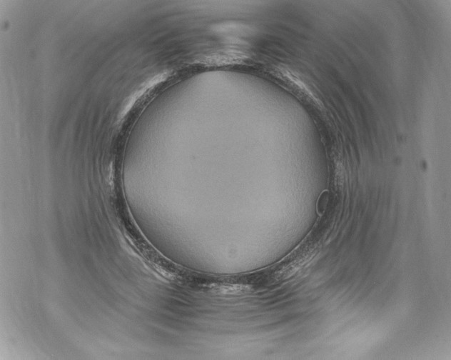 X0000071860539200607290200