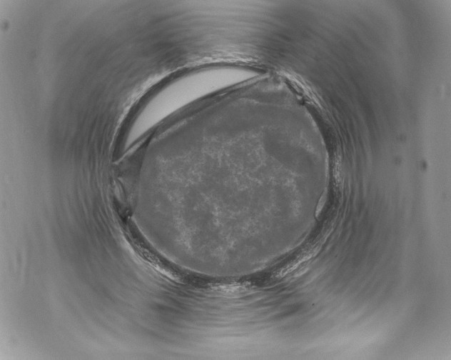 X0000071860540200607290200