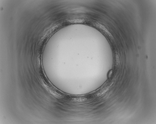 X0000071860541200607290200