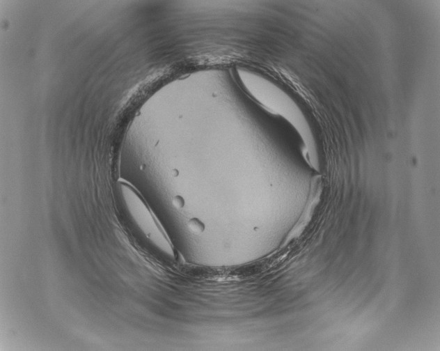 X0000071860543200607290200