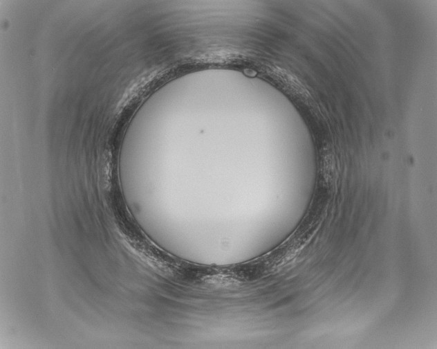 X0000071860544200607290200