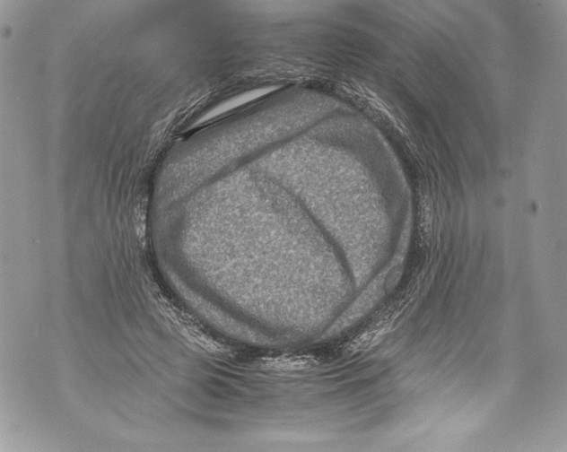 X0000071860545200607290200