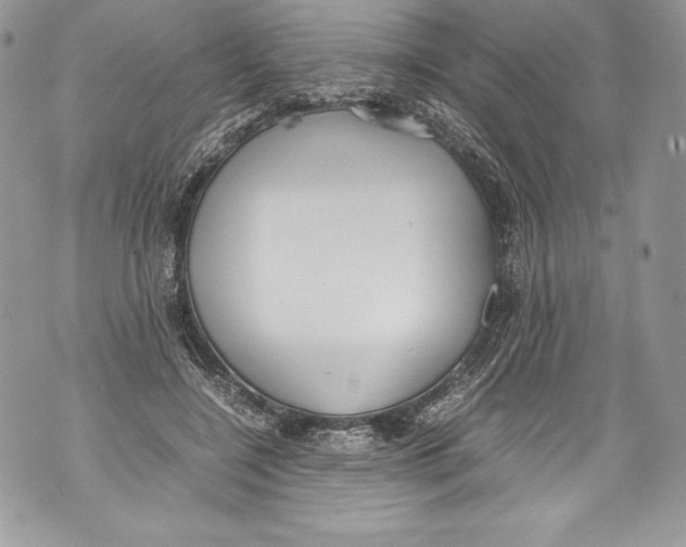 X0000071860548200607290200