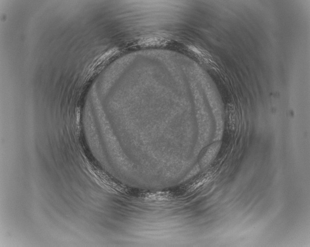 X0000071860550200607290200